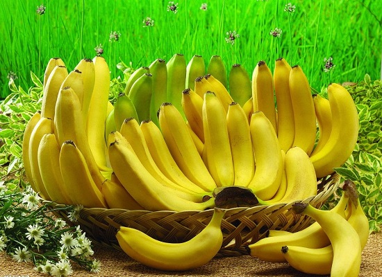 香蕉都是化学催熟的？吃了打膨大剂的水果会危害健康？